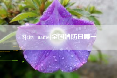 娄底全国消防日哪一