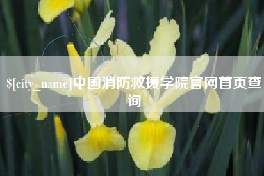 娄底中国消防救援学院官网首页查询