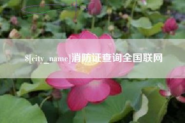 娄底消防证查询全国联网