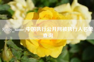 娄底中国执行公开网被执行人名单查询