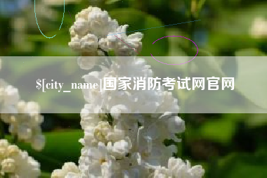 娄底国家消防考试网官网