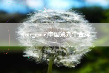 娄底中国第九个金牌