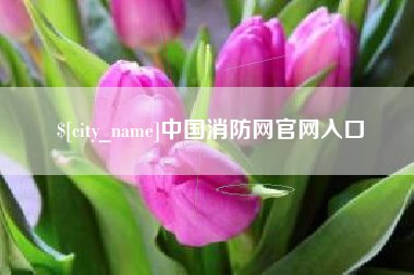 娄底中国消防网官网入口