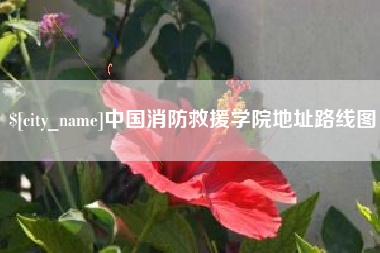 娄底中国消防救援学院地址路线图