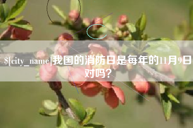 娄底我国的消防日是每年的11月9日对吗？
