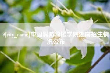 娄底中国消防救援学院湖南招生情况公布