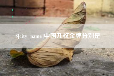 娄底中国九枚金牌分别是