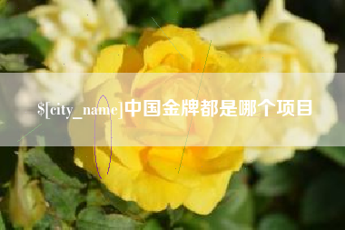 娄底中国金牌都是哪个项目