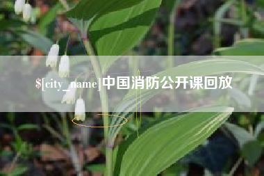 娄底中国消防公开课回放