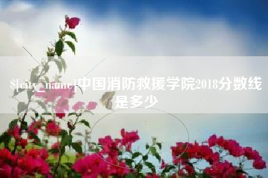 娄底中国消防救援学院2018分数线是多少