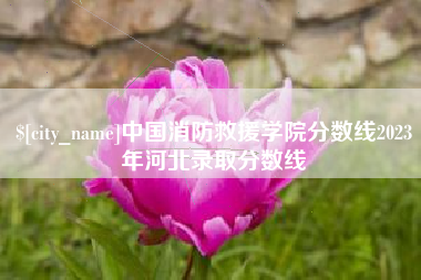 娄底中国消防救援学院分数线2023年河北录取分数线