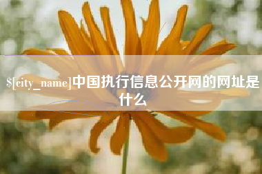 娄底中国执行信息公开网的网址是什么