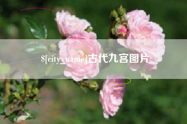 娄底古代九宫图片