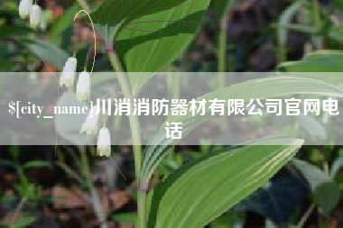 娄底川消消防器材有限公司官网电话