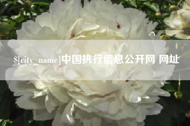 娄底中国执行信息公开网 网址