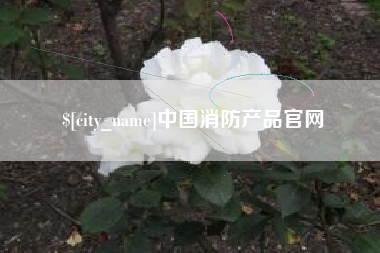 娄底中国消防产品官网