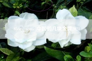 娄底中国的几块金牌2021