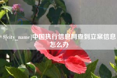 娄底中国执行信息网查到立案信息怎么办