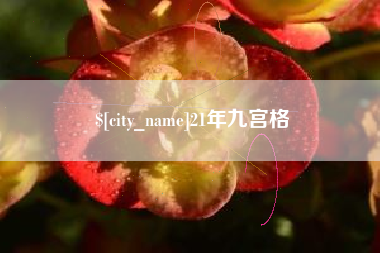 娄底21年九宫格