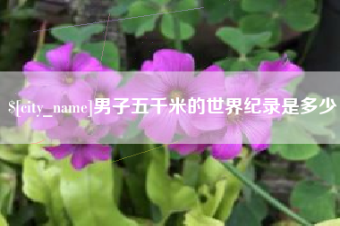 娄底男子五千米的世界纪录是多少