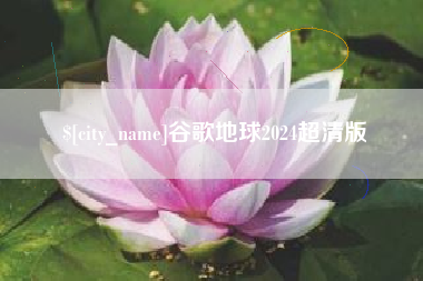 娄底谷歌地球2024超清版