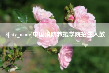 娄底中国消防救援学院招生人数