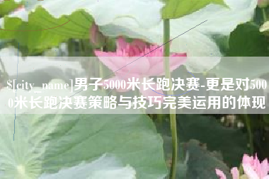 娄底男子5000米长跑决赛-更是对5000米长跑决赛策略与技巧完美运用的体现
