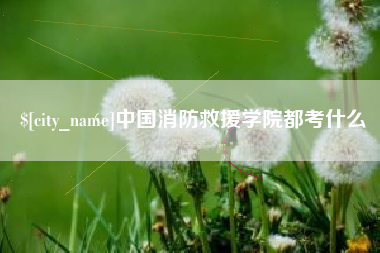娄底中国消防救援学院都考什么