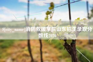 娄底消防救援学院山东招生录取分数线2020