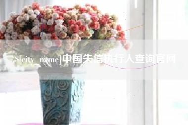 娄底中国失信执行人查询官网