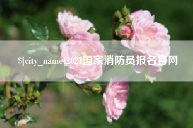 娄底2021国家消防员报名官网