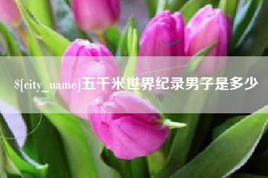 娄底五千米世界纪录男子是多少