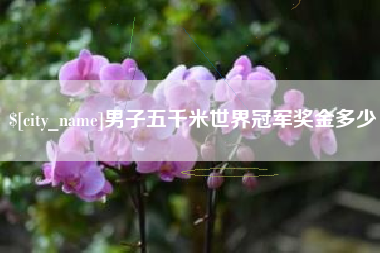 娄底男子五千米世界冠军奖金多少