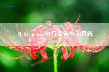 娄底执行公告查询系统