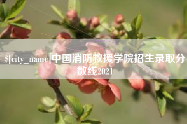 娄底中国消防救援学院招生录取分数线2021