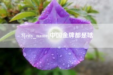 娄底中国金牌都是啥