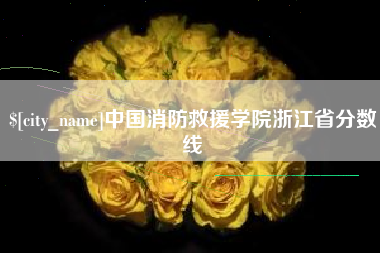 娄底中国消防救援学院浙江省分数线