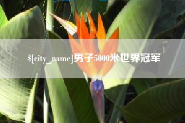 娄底男子5000米世界冠军
