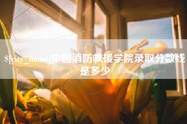 娄底中国消防救援学院录取分数线是多少
