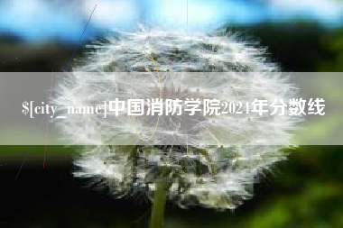 娄底中国消防学院2024年分数线