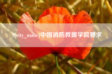 娄底中国消防救援学院要求