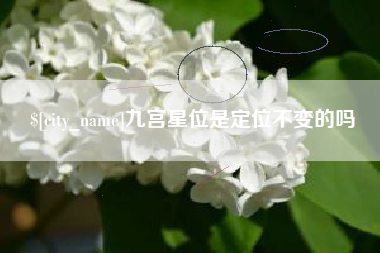 娄底九宫星位是定位不变的吗