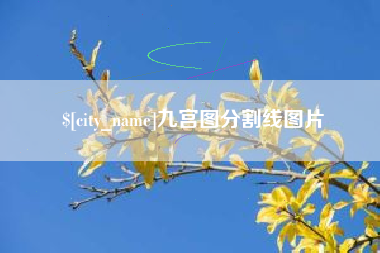 娄底九宫图分割线图片