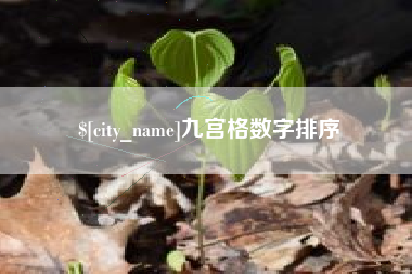 娄底九宫格数字排序