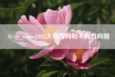 娄底2025大利方向和不利方向图