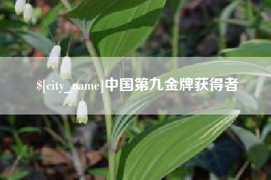 娄底中国第九金牌获得者
