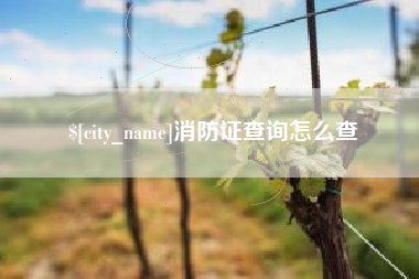 娄底消防证查询怎么查