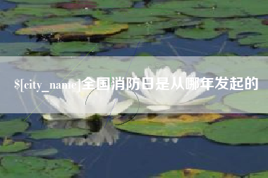 娄底全国消防日是从哪年发起的
