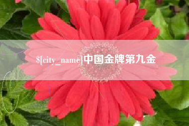 娄底中国金牌第九金