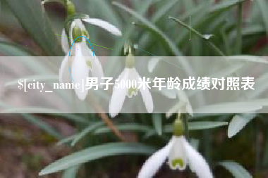 娄底男子5000米年龄成绩对照表